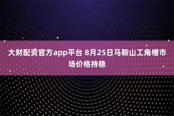 大财配资官方app平台 8月25日马鞍山工角槽市场价格持稳