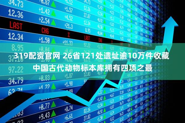 319配资官网 26省121处遗址逾10万件收藏 中国古代动物标本库拥有四项之最