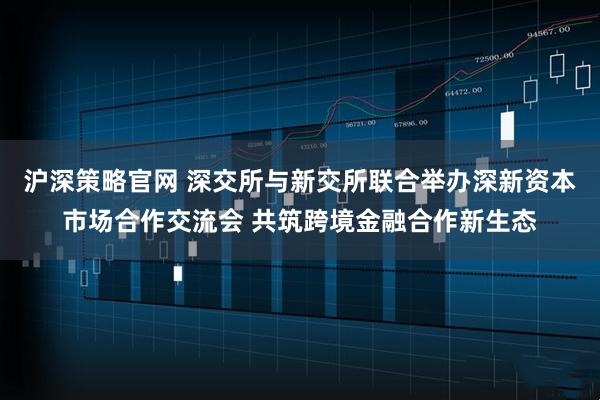 沪深策略官网 深交所与新交所联合举办深新资本市场合作交流会 共筑跨境金融合作新生态