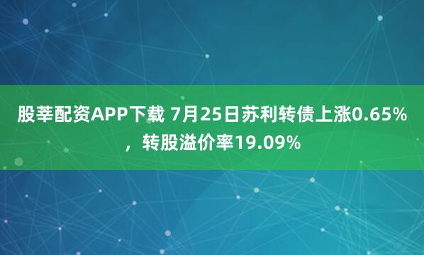 股莘配资APP下载 7月25日苏利转债上涨0.65%，转股溢价率19.09%